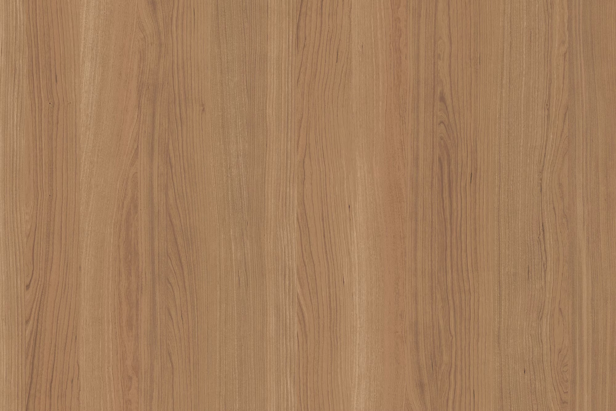 インプラス for Renovation色見本樹脂色(チェリー)